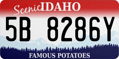 ID license plate 5B8286Y