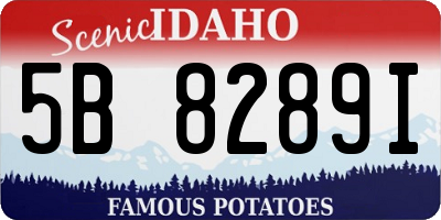 ID license plate 5B8289I