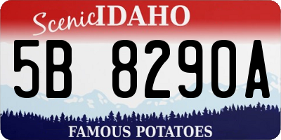 ID license plate 5B8290A