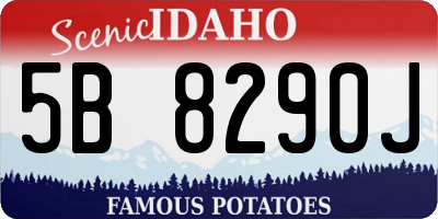ID license plate 5B8290J