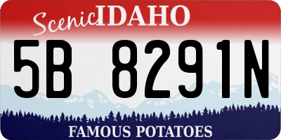 ID license plate 5B8291N