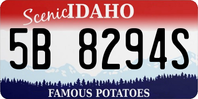 ID license plate 5B8294S