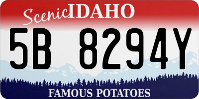 ID license plate 5B8294Y