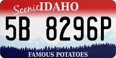 ID license plate 5B8296P