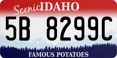 ID license plate 5B8299C