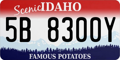 ID license plate 5B8300Y