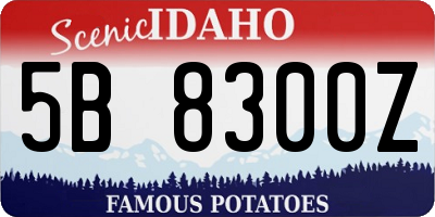 ID license plate 5B8300Z