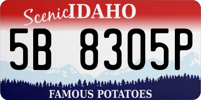 ID license plate 5B8305P