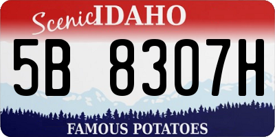 ID license plate 5B8307H