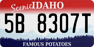 ID license plate 5B8307T
