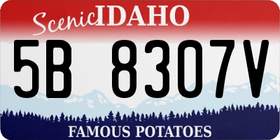 ID license plate 5B8307V