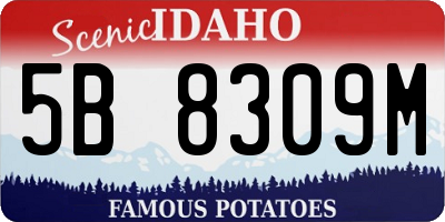 ID license plate 5B8309M