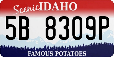 ID license plate 5B8309P