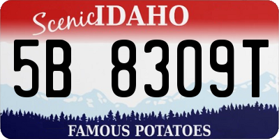 ID license plate 5B8309T