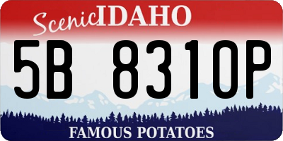 ID license plate 5B8310P