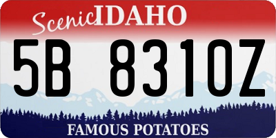ID license plate 5B8310Z