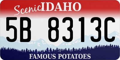 ID license plate 5B8313C