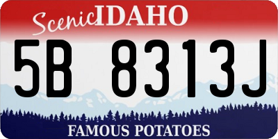 ID license plate 5B8313J