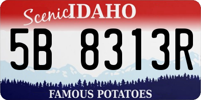 ID license plate 5B8313R
