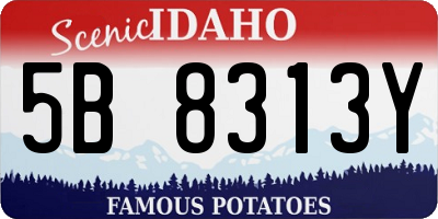 ID license plate 5B8313Y