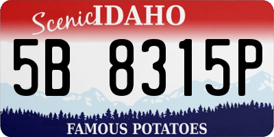 ID license plate 5B8315P