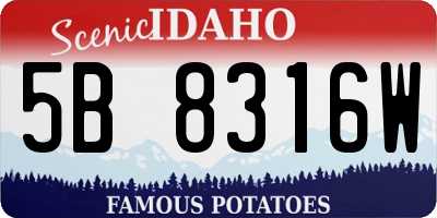 ID license plate 5B8316W