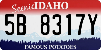 ID license plate 5B8317Y