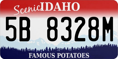 ID license plate 5B8328M