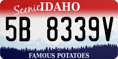 ID license plate 5B8339V
