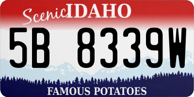 ID license plate 5B8339W