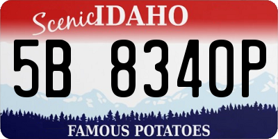 ID license plate 5B8340P
