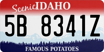 ID license plate 5B8341Z