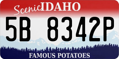 ID license plate 5B8342P