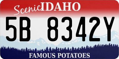 ID license plate 5B8342Y