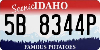 ID license plate 5B8344P