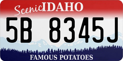 ID license plate 5B8345J