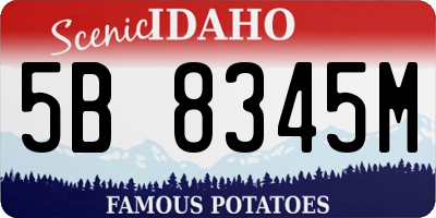 ID license plate 5B8345M