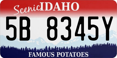 ID license plate 5B8345Y