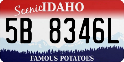 ID license plate 5B8346L