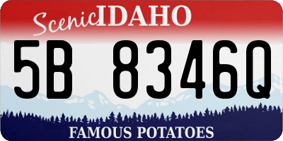 ID license plate 5B8346Q