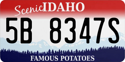 ID license plate 5B8347S