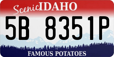 ID license plate 5B8351P