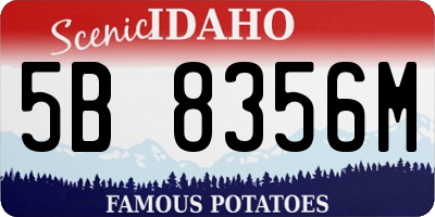 ID license plate 5B8356M