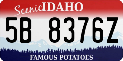 ID license plate 5B8376Z