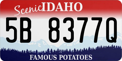 ID license plate 5B8377Q