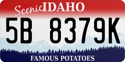 ID license plate 5B8379K