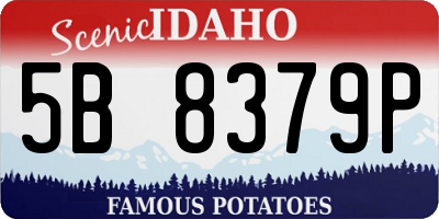 ID license plate 5B8379P