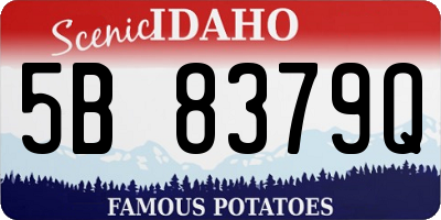 ID license plate 5B8379Q