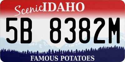 ID license plate 5B8382M
