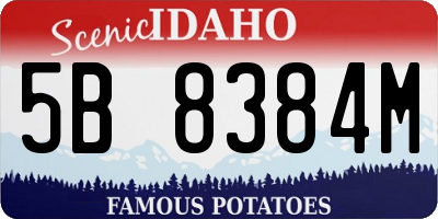 ID license plate 5B8384M